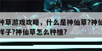 神仙种草游戏攻略，什么是神仙草?神仙草长什么样子?神仙草怎么种植?