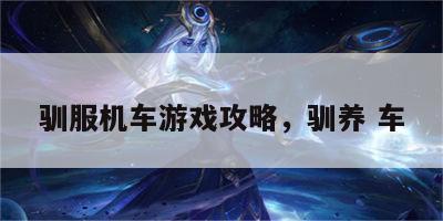 驯服机车游戏攻略，驯养 车