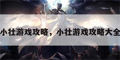 小壮游戏攻略，小壮游戏攻略大全