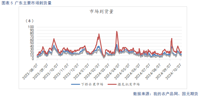 【苹果】新季晚熟逐步上量 市场交易氛围平淡