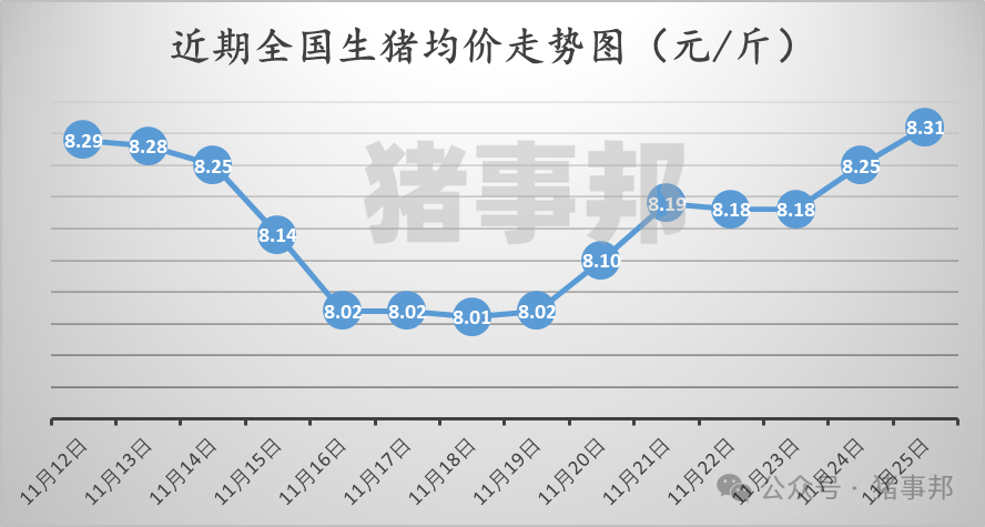 11月25日猪价汇总（涨势收窄，明日猪价或有变！）