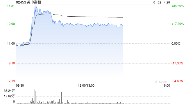 美中嘉和盘中涨超35% 公司签订2亿元融资租赁协议