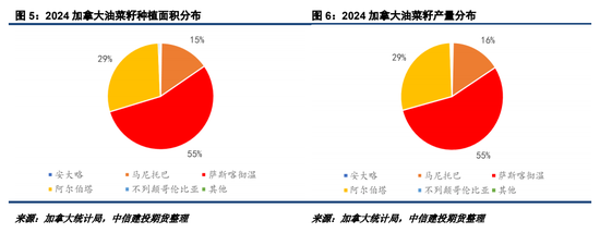 2025加菜籽种植面积仍有下调潜力