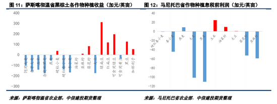 2025加菜籽种植面积仍有下调潜力