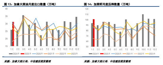 2025加菜籽种植面积仍有下调潜力