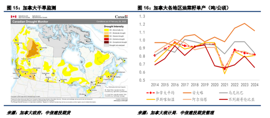 2025加菜籽种植面积仍有下调潜力