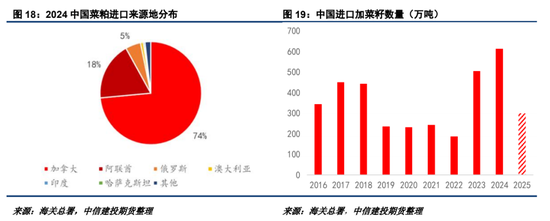 2025加菜籽种植面积仍有下调潜力