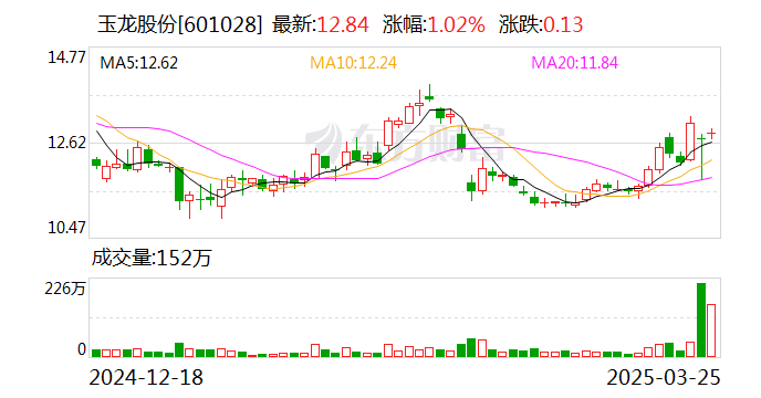 玉龙股份：公司股票将于3月27日开市起停牌