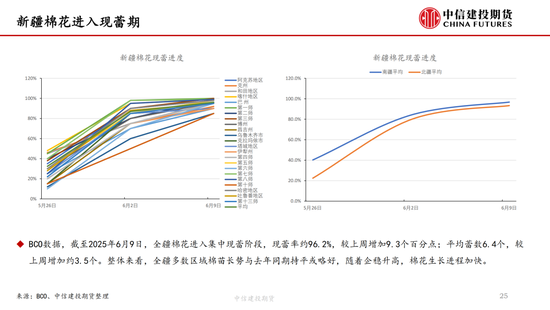 【棉花纺谈】供应端阶段性缩量 疆棉基差坚挺