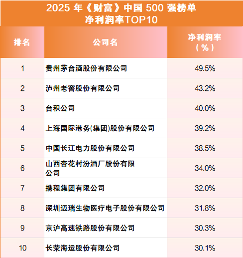 数读2025年《财富》中国500强，哪家公司最赚钱？