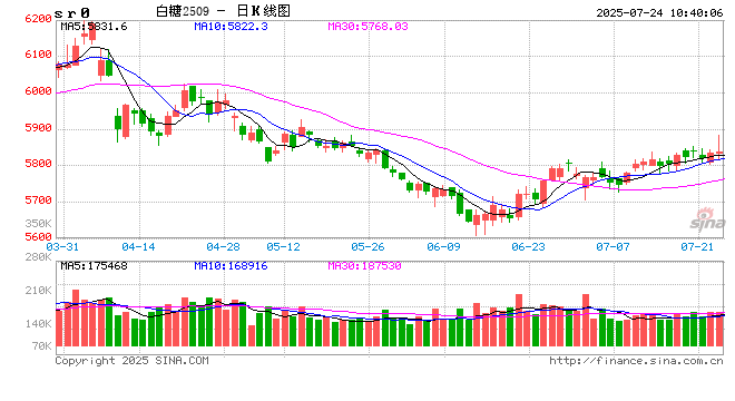 光大期货：7月24日软商品日报