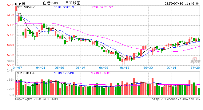 光大期货：7月30日软商品日报