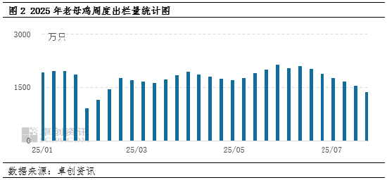 “蛋”说无妨：利润由亏转盈，蛋鸡市场又会出现哪些连锁反应呢？