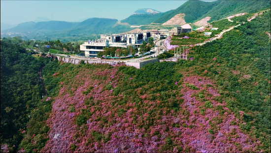 文旅体系+第四代住宅 远洋建管助力石家庄远洋观山代建项目破局